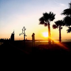 Silhouette of trees at sunset