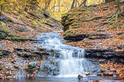 Scenic view of waterfall in forest