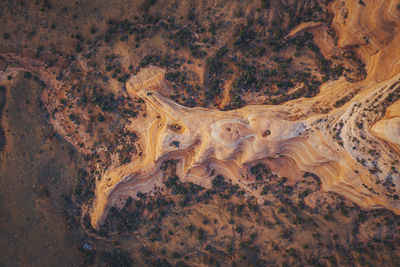 Utah's sandstone landscape from above