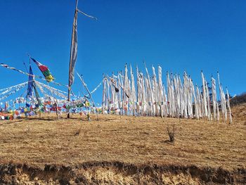 Panoramic shot of sailboats on field against clear blue sky