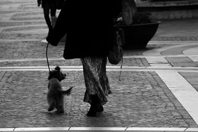 Low section of woman with dog walking on footpath