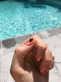 Ladybug on a hand, summer by a pool