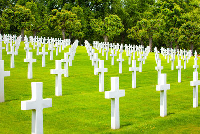 Row of cross on cemetery