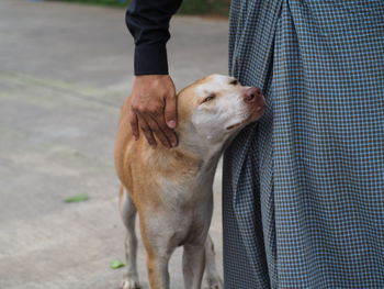 Low section of man with dog