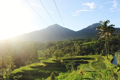 Scenic view of landscape against sky