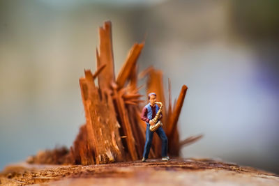 Close-up of figurine on wood