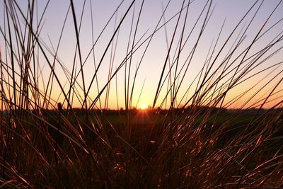 Scenic view of field against sky during sunset