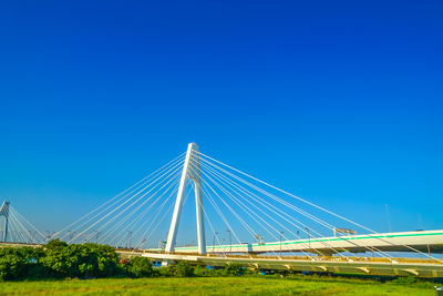 cable-stayed bridge