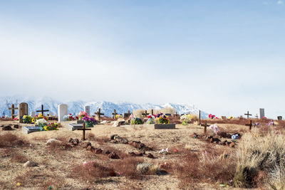 Desert cemetery with distant snowy mountains