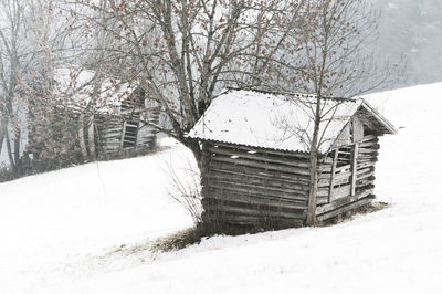 Bare tree on snow covered field