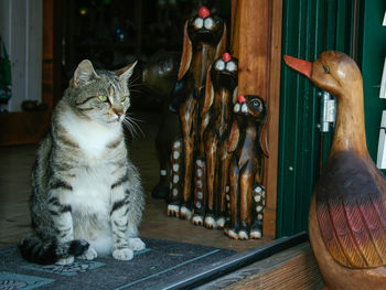 Close-up of cat sitting