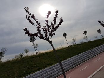 Road by trees on field against sky