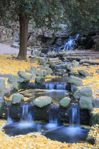 Scenic view of waterfall in forest