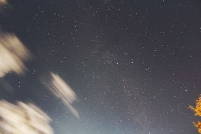 Low angle view of star field against sky at night