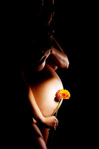 Midsection of woman holding flowering plant against black background
