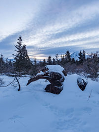 Snow covered landscape against sky
