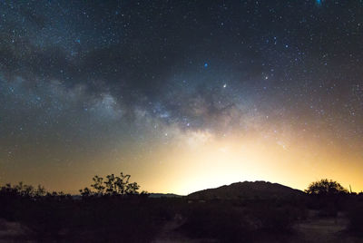 Low angle view of silhouette trees against sky at night