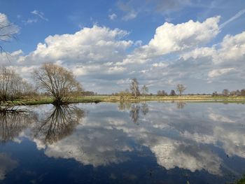 reflection