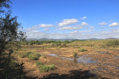 Scenic view of landscape against blue sky