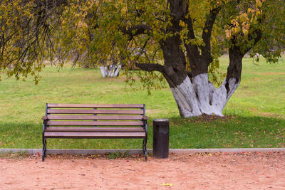Empty bench in park