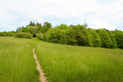 Scenic view of trees growing on field against sky