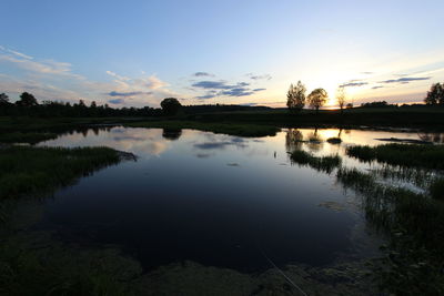 Reflection of trees in calm lake