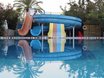 Reflection of trees in swimming pool