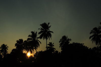 Silhouette palm trees against sky at night