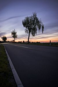 Trees by road against sky at sunset