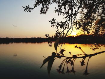 Silhouette bird on lake against sky during sunset