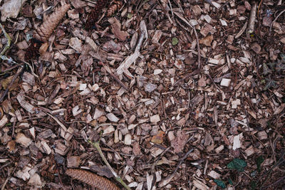 High angle view of dry leaves on field