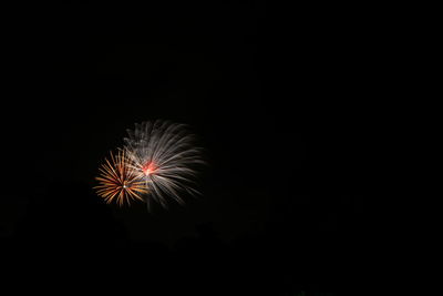 Low angle view of firework display against sky at night