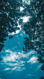 Low angle view of trees against blue sky