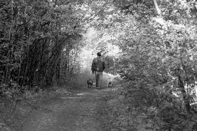 Rear view of man with dogs walking on footpath in forest