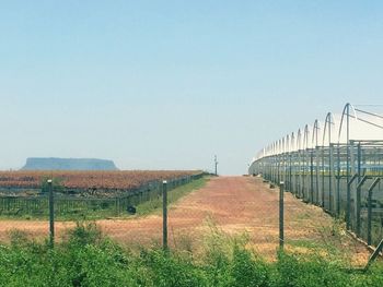 Agricultural field against clear sky