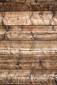 Macro shot of weathered wood