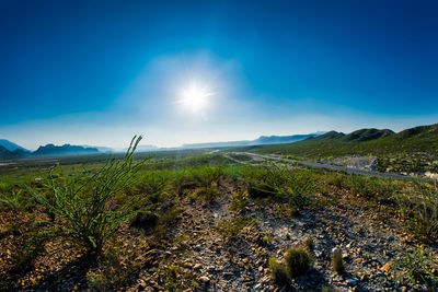 Scenic view of field against blue sky