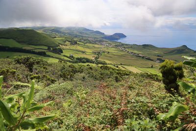 Scenic view of agricultural field against sky