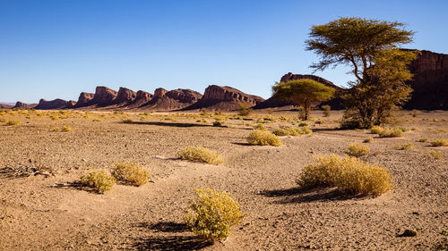 Scenic view of landscape against clear sky