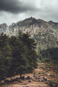 Scenic hiking trail through the chestnut forest with mountain landscape and moody overcast skies.