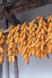 Corn under the roof.