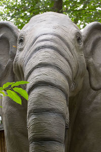 Close-up of elephant statue