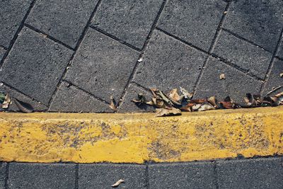 High angle view of zebra crossing on street