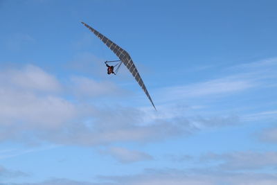 Low angle view of bird flying in sky