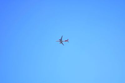 Low angle view of airplane flying against clear blue sky