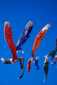 Low angle view of fish in sea