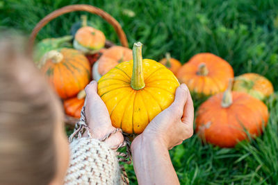 Cropped hand of woman holding pumpkin