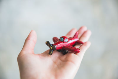 Close-up of hand holding small