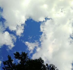 Low angle view of trees against cloudy sky