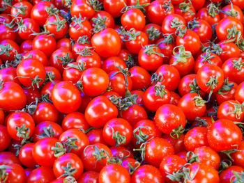 Full frame shot of tomatoes